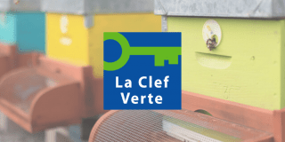 Label Clef Verte : le Best Western Plus Hôtel Masséna Nice confirme ses engagements environnementaux