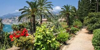 The most beautiful gardens of Menton