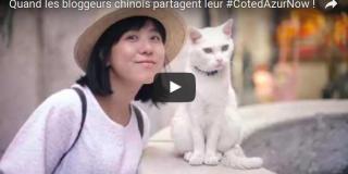 Vidéo de la bloggeuse chinoise Wen Jing