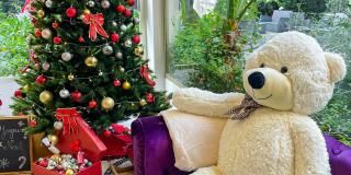 Noël : l’Hôtel Brice Garden et Nissa la Bella en fêtes