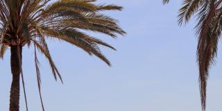 Week-end prolongé à Nice : 3 jours pour se ressourcer au soleil