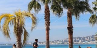 Semi-Marathon International de Nice !