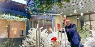 Que faire à Menton pour Noël et le jour de l’An en famille ?