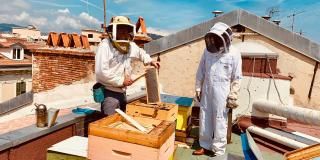 Green Hotel Florence Nice, un toit pour nos abeilles