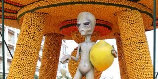 Fête du Citron : Une expérience unique à Menton